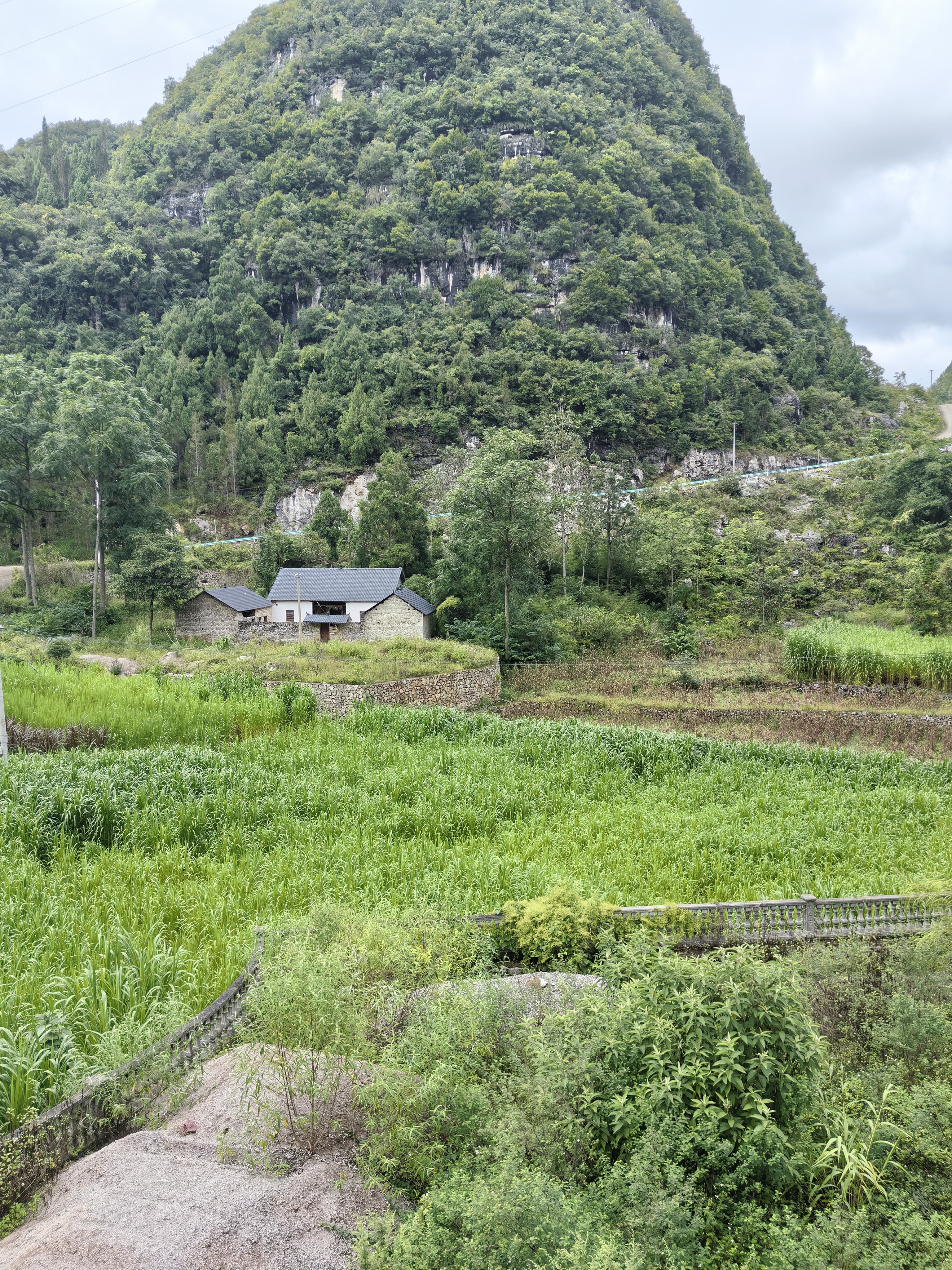 万峰林青砖瓦房出租（老瓦房带200地）