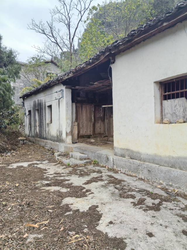 万峰林屋舍出租（带120平庭院）