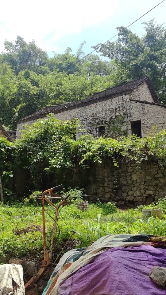 万峰林屋舍出租----（带50平庭院）