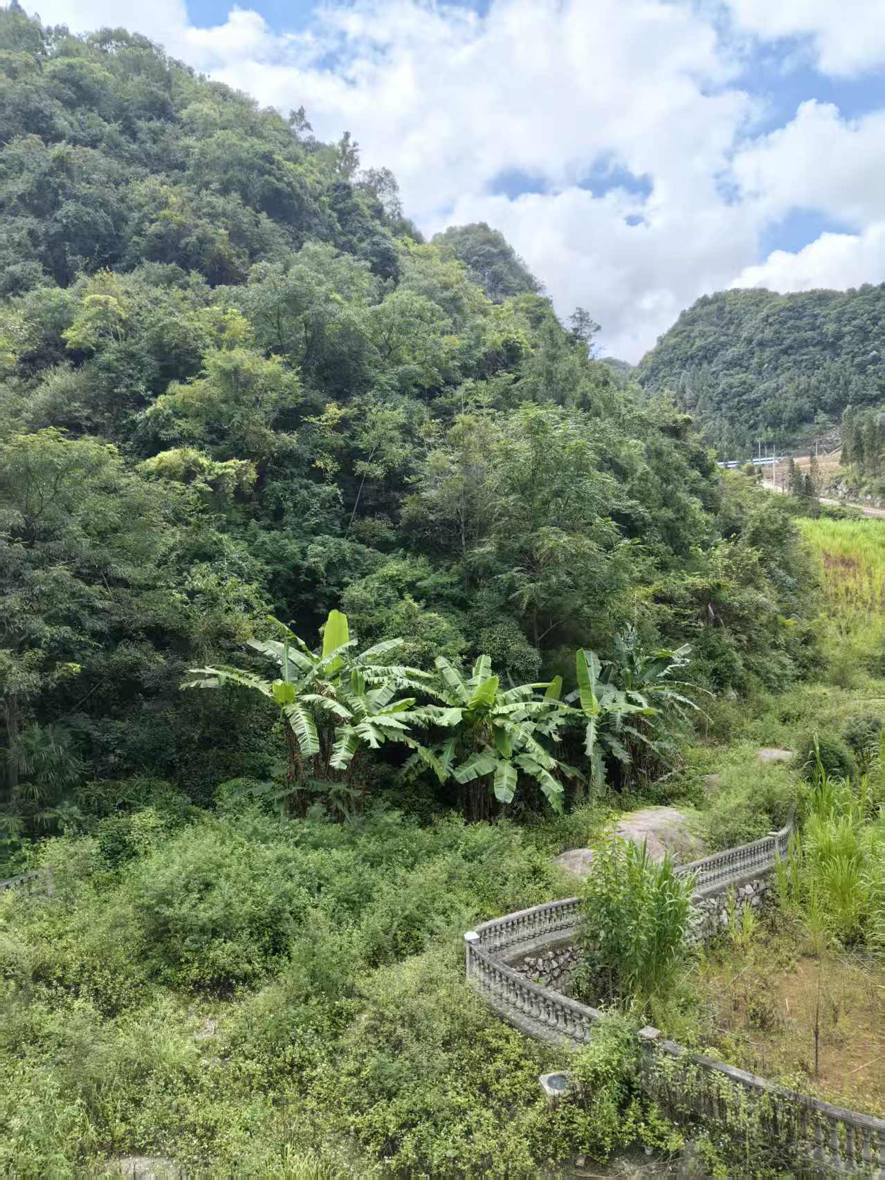 房源图片5
