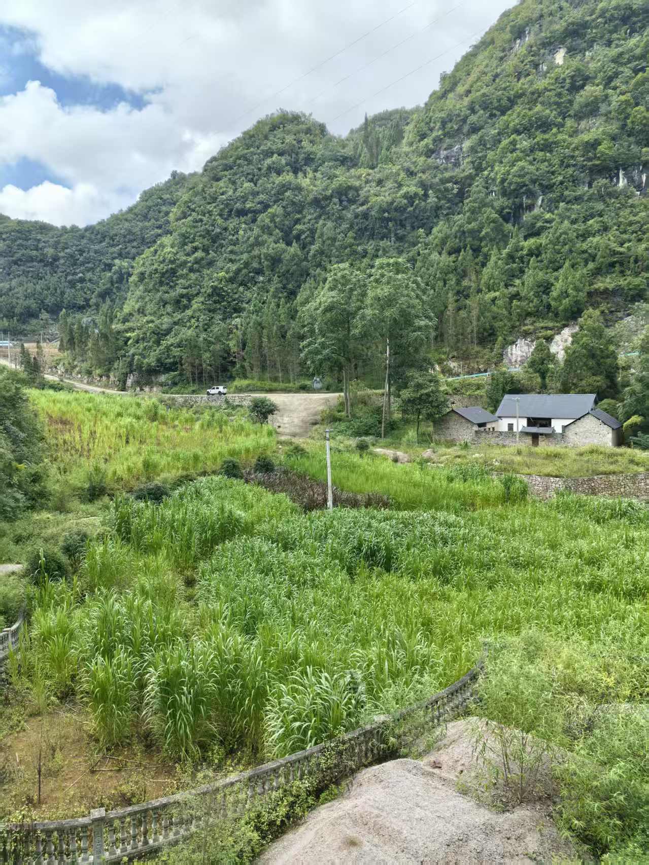 万峰林青砖瓦房出租（老瓦房带100平地）